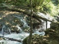 La Vaioaga waterfall at Cheile Nerei National Park, Romania Royalty Free Stock Photo